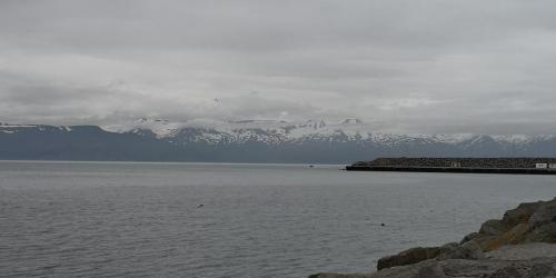 IMG 20220710 145334