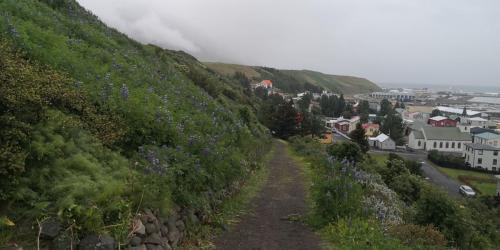 IMG 20220712 201952